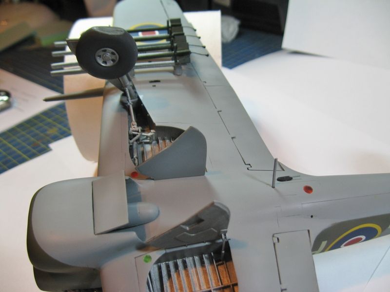 NEW colours in our littlelenses range your input needed